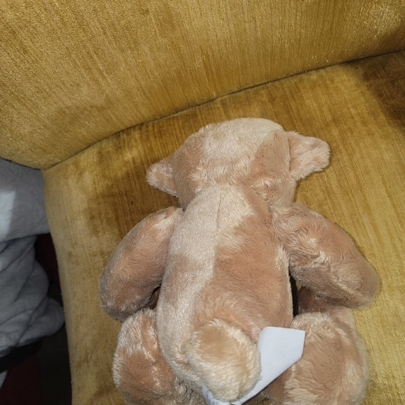 The classic teddy bear A+ - Picture 4 of 5